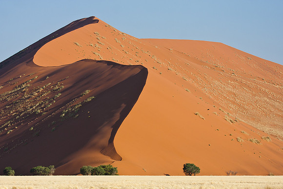 Dunes in Namib Desert
