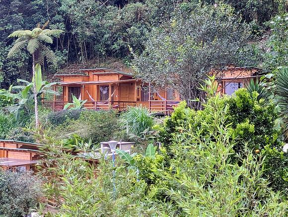 La Florida de las Aves, in the Western Andes, was the first of our five ecolodges. This lodge was at an elevation of 6,000 feet.