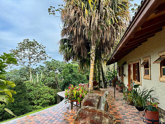 Our rooms at Kiraikai Ecolodge looked out onto trees that are home to Red Howler monkeys.