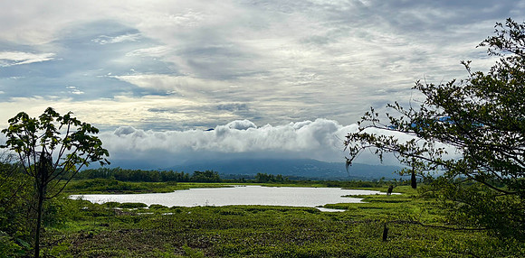 We took a day trip to Laguna de Sonso, an oxbow lake of the Cauca River.