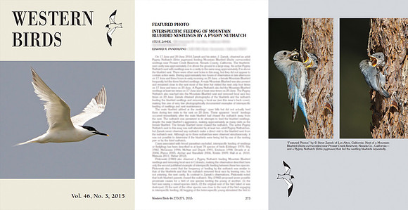 Western Birds: Article and photos on Interspecific Feeding