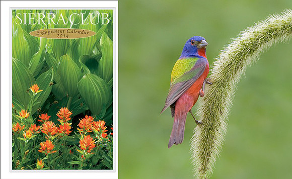 Sierra Club Engagement Calendar, inside photo 2014