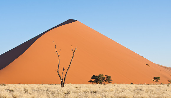 Dunes in Namib Desert