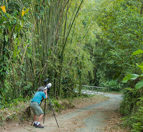 Steve takes aim at a Jacamar