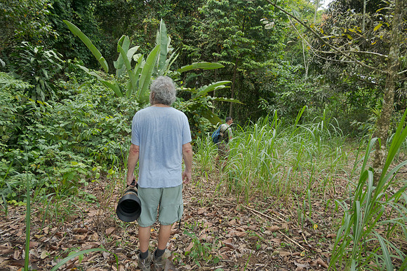 Next came the hunt for the Spectacled Owl that began with Randall leading Steve into the forest.