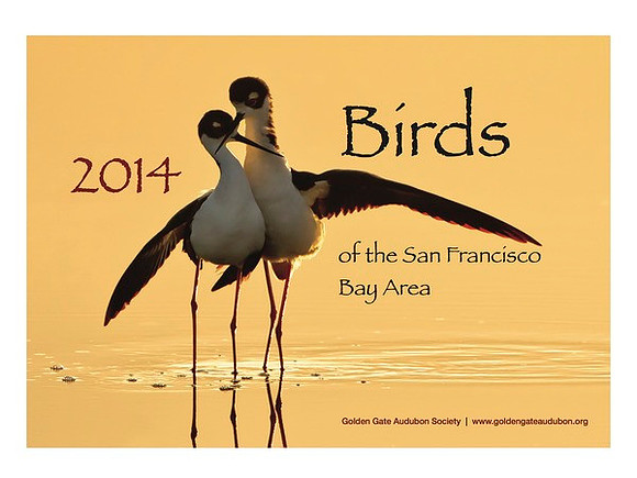 Golden Gate Audubon 2014 Calendar cover photo