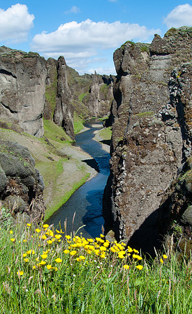 Fjaðrárgljúfur canyon