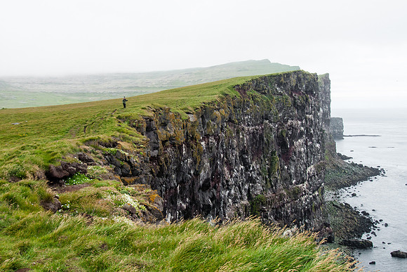 Steve searching for birds on Látrabjarg cliffs in the Westfjords
