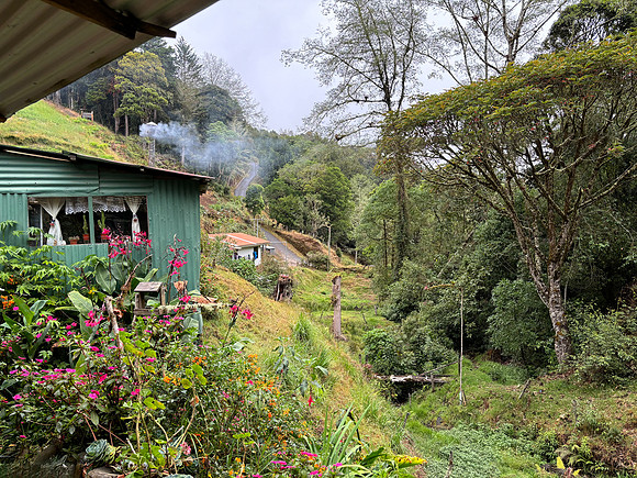 We spent two afternoons at  the home of a local farmer who's part of the Kebak Project to protect Resplendent Quetzals. We watched a pair of quetzals excavating their nest hole  and eating berries.