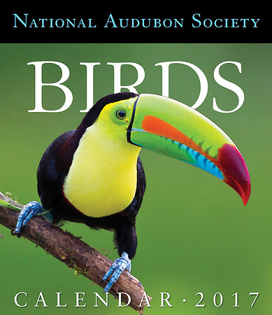 Cover photo for 2017 National Audubon Birds Calendar
