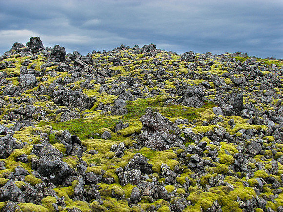 Lava field