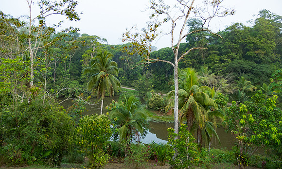 Our first location -- Laguna del Lagarto Eco-Lodge -- is a well-known destination for bird photography in the Cost Rican lowlands.