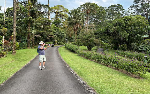 Photographing hummingbirds in the verbena plants on the grounds of the lodge