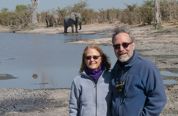 Tea break with the elephants
