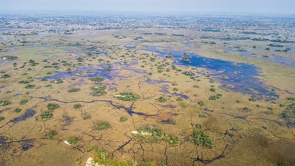View of the Okavango Delta from our little Cessna