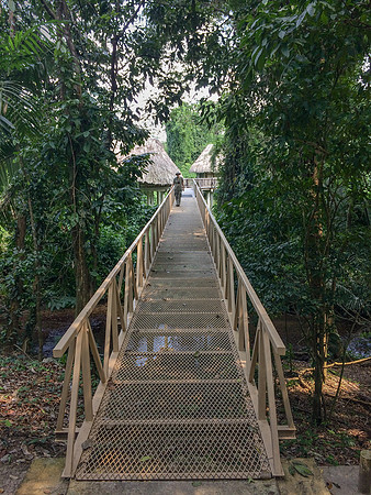Walkway to our cabaña at Pook's Hill Lodge