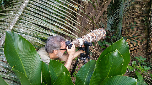 Steve finds a spot to photograph pair of Spectacled Owls at Pook's Hill