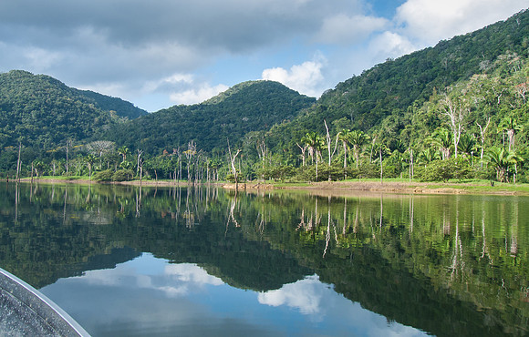 View from river, Chiquibul Forest Reserve