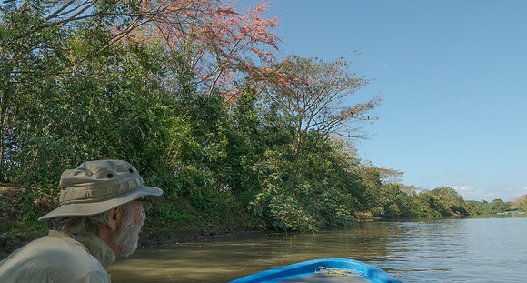 We went up and down the river by boat, looking for birds