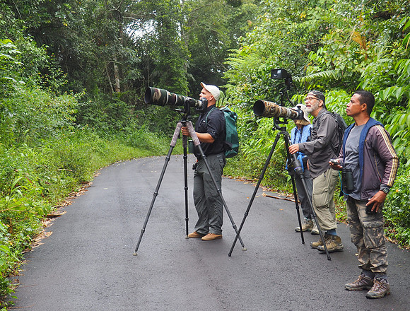 Charlie (our trip guide), Steve and Samuel (our local guide) search for birds near Tomohon, Sulawesi