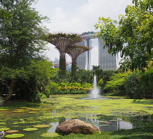 View from a walking path at Gardens by the Bay