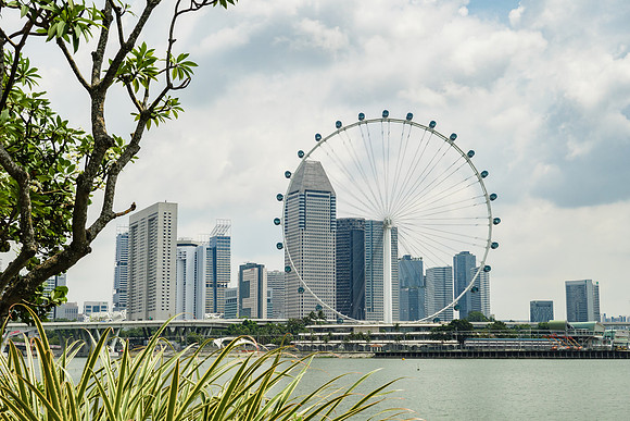 View of Singapore skyline and the Flyer (giant "observation" wheel)