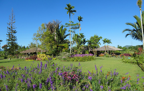 Gardens surrounding Gardenia Lodge