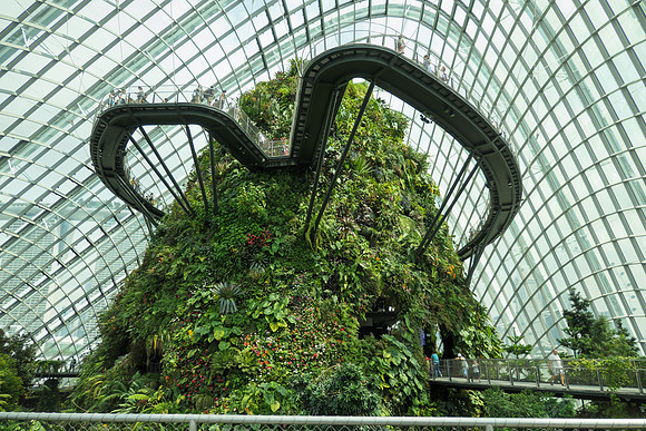 Inside the Cloud Forest Conservatory, Gardens by the Bay, Singapore