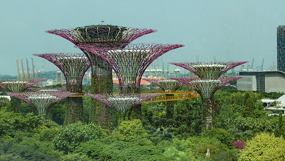Grove of SuperTrees, tall tree-like vertical structures, Gardens by the Bay