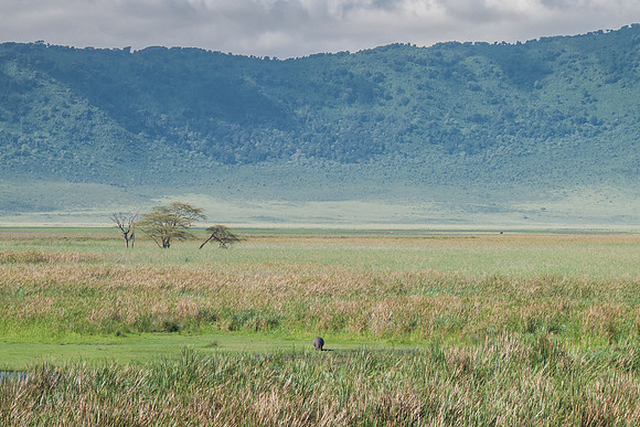 View of Ngorongoro Crater