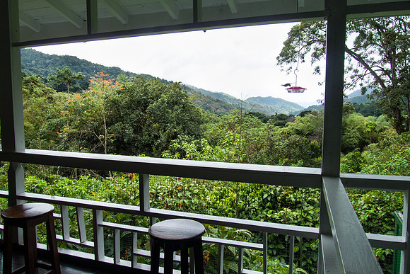 View from verandah