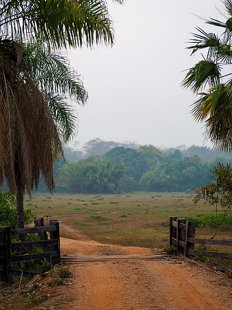 Scenery at Araras Eco Lodge, our first stop in the northern Pantanal