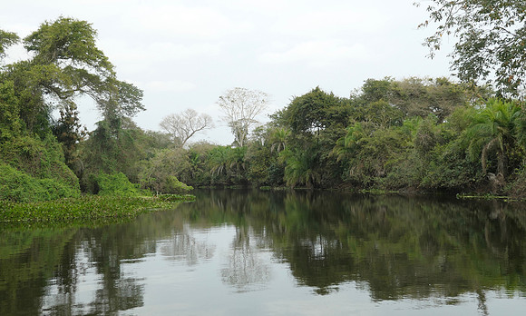 Typical river scene at Fazenda San Francisco