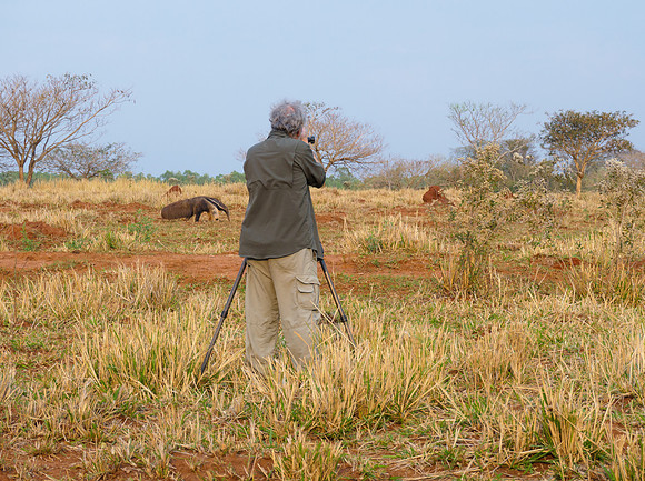 Steve photographing a Giant Anteater