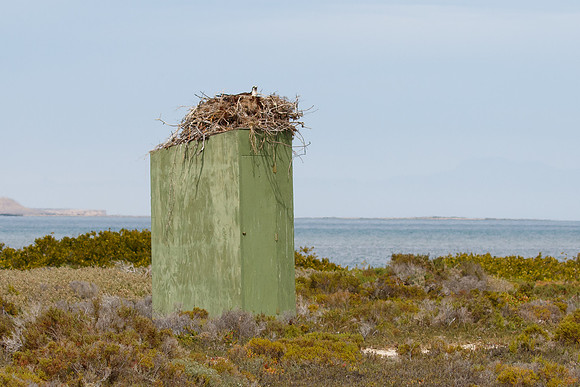 The outhouse is occupied.