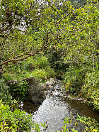 We spent two nights at Hotel Quelitales, a small eco-lodge. The property included this stream and a waterfall.
