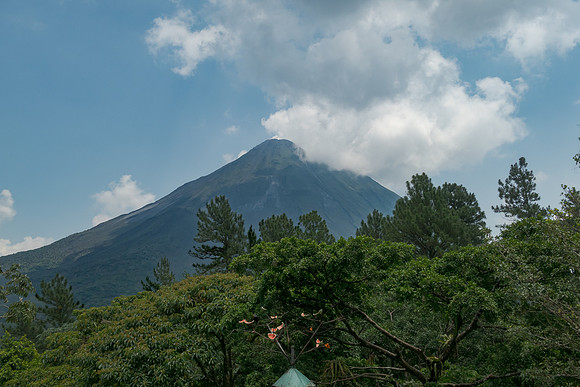 In our third location we spent time on the grounds of the Arenal Observatory Lodge. Note the watermelon put out to attract birds.