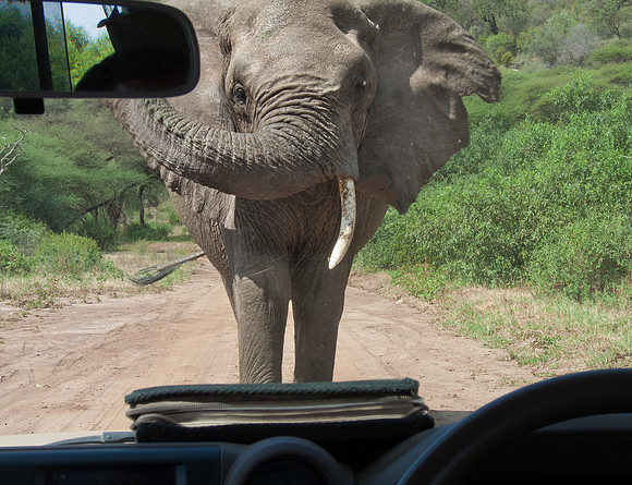Mighty close!