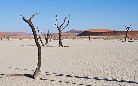 Deadvlei, in Namib Desert