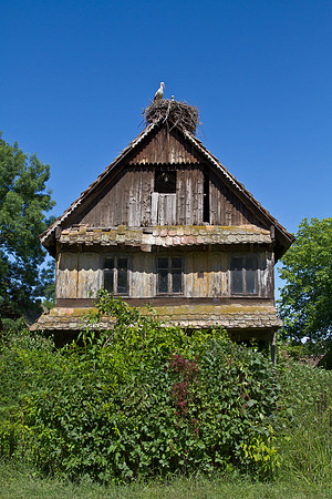 Stork nest atop home in Cigoc