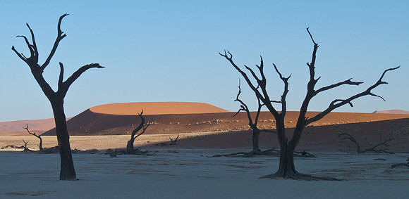 Deadvlei, in Namib Desert