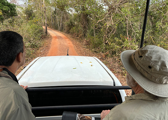 At our first lodge (Araras Eco Lodge) we took morning and afternoon safari drives to look for wildlife and birds. That's Victor, our guide, on the left and Steve on the right.