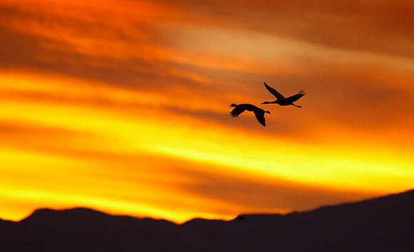 Sunset along tour route
