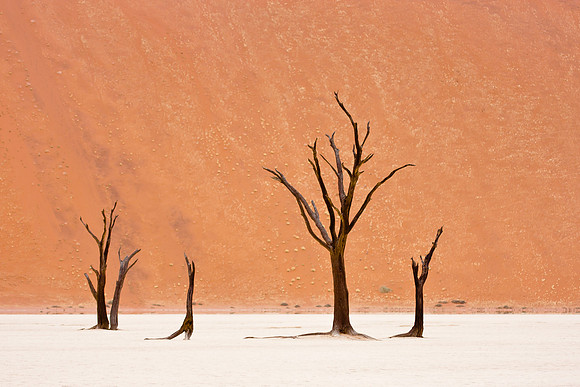 Deadvlei, in Namib Desert