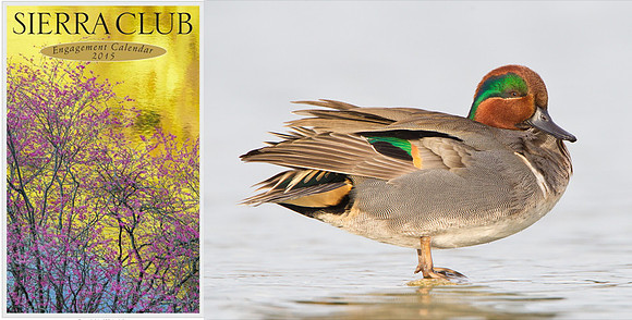 Sierra Club Engagement Calendar inside photo, 2015