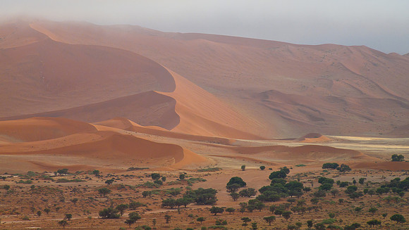 Dunes at Sossusvlei on cloudy morning