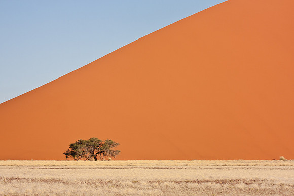 Dunes in Namib Desert